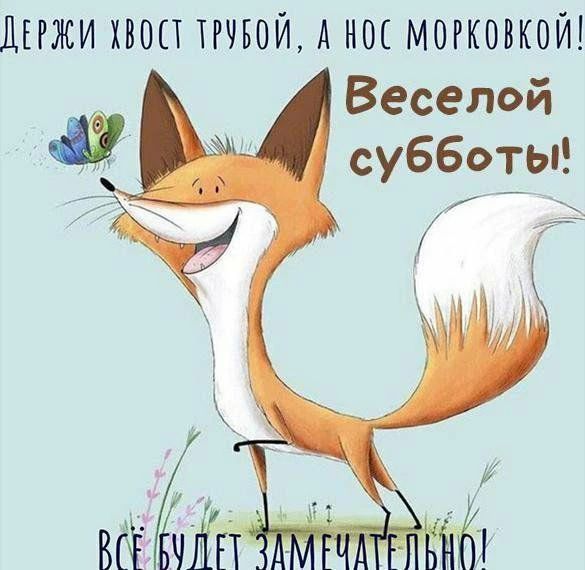 Держи хвост трубой, а нос морковкой! Веселой субботы! Всё будет замечательно!
