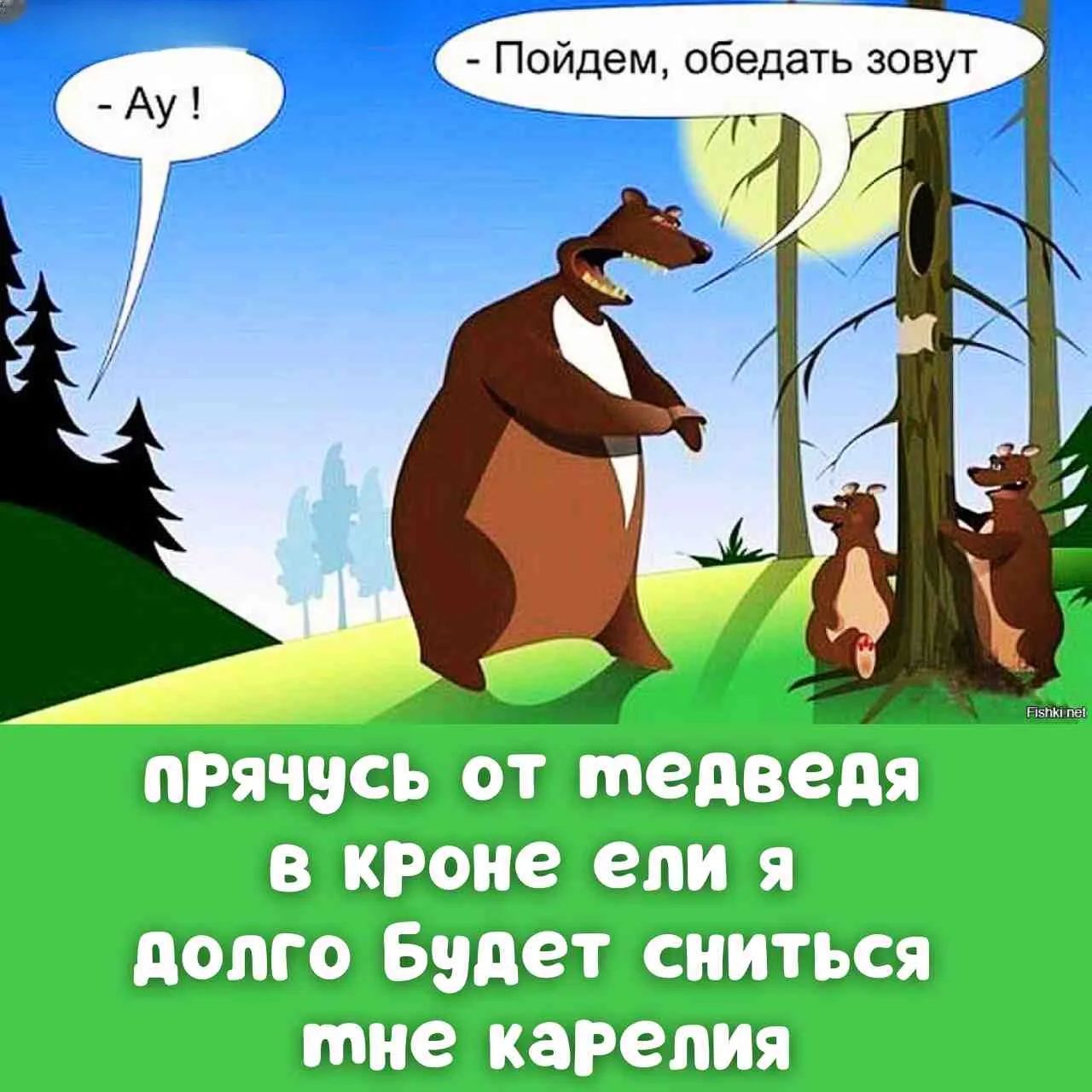 - Ау! - Пойдем, обедать зовут. прячусь от медведя в кроне ели я долго будет сниться мне карелия