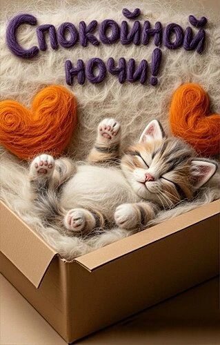 Спокойной ночи!