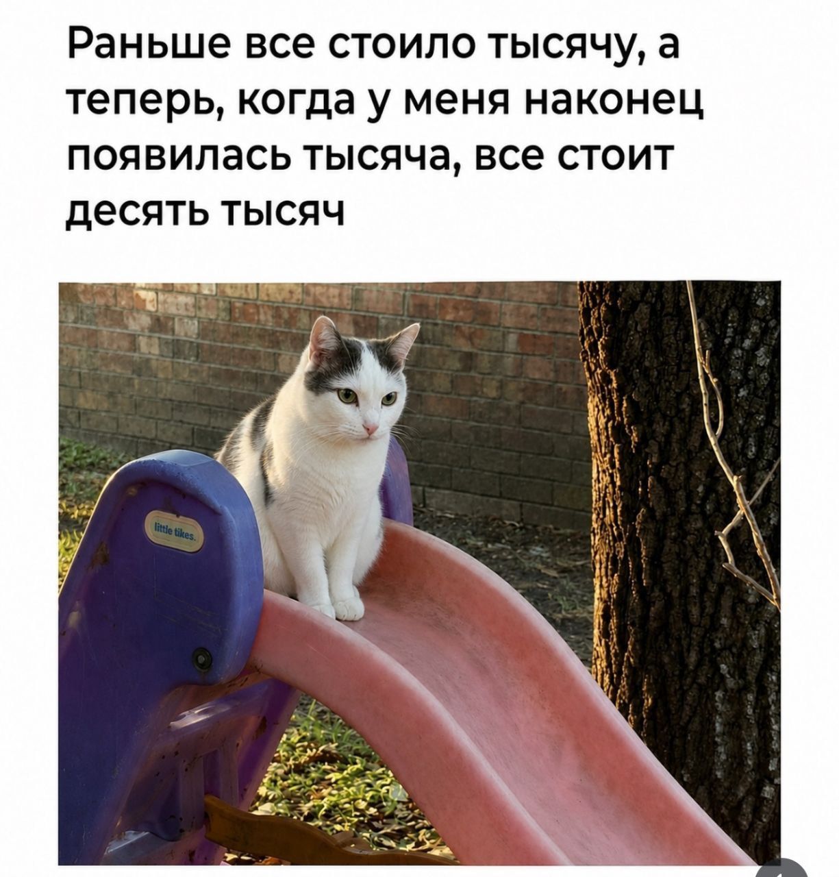 Раньше все стоило тысячу, а теперь, когда у меня наконец появилась тысяча, все стоит десять тысяч