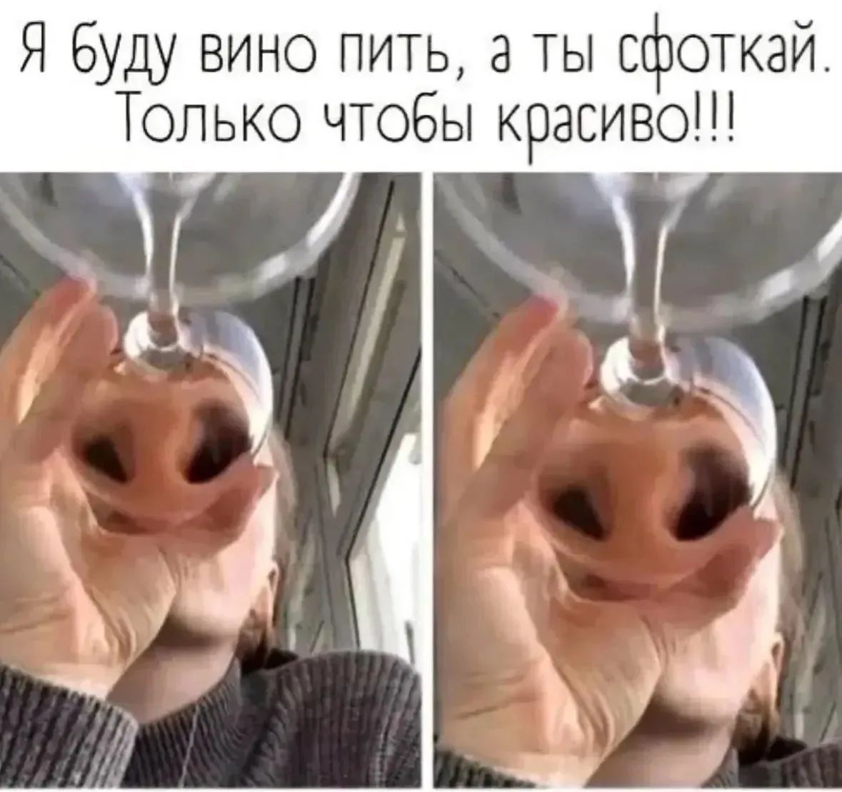 Я буду вино пить, а ты сфоткай. Только чтобы красиво!!!