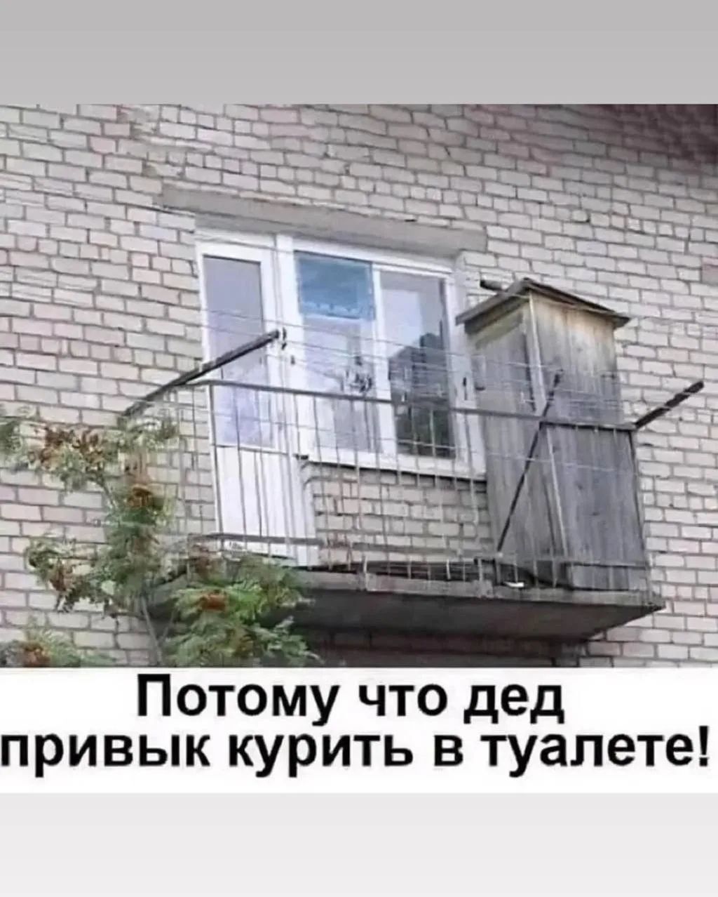 Потому что дед привык курить в туалете!