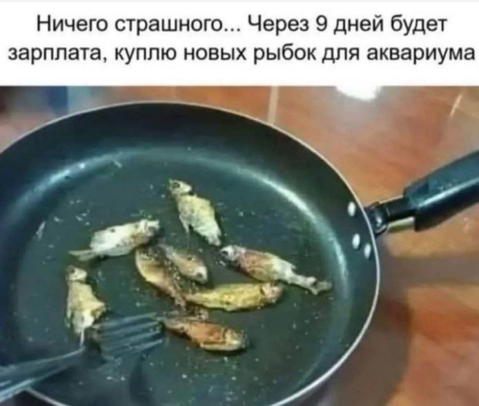 Ничего страшного... Через 9 дней будет зарплата, куплю новых рыбок для аквариума