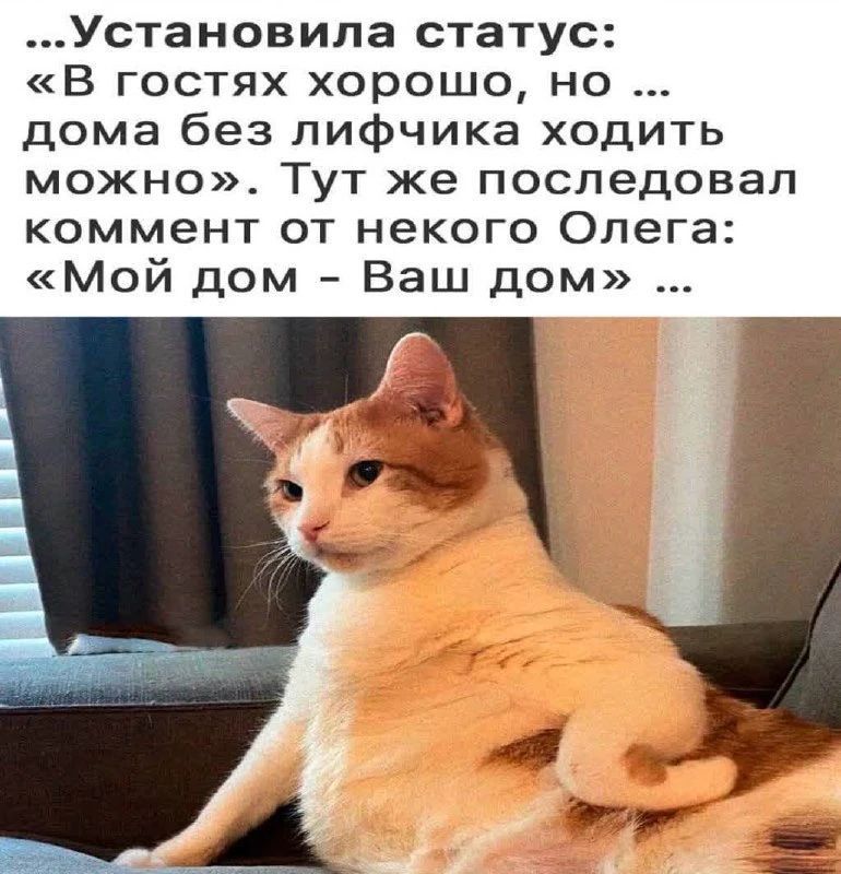 ...Установила статус: «В гостях хорошо, но ... дома без лифчика ходить можно». Тут же последовал коммент от некого Олега: «Мой дом - Ваш дом» ...