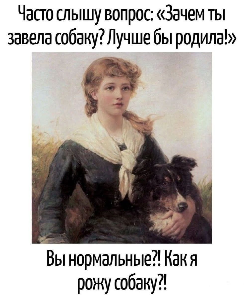 Часто слышу вопрос: «Зачем ты завела собаку? Лучше бы родила!» Вы нормальные?! Как я рожу собаку?!