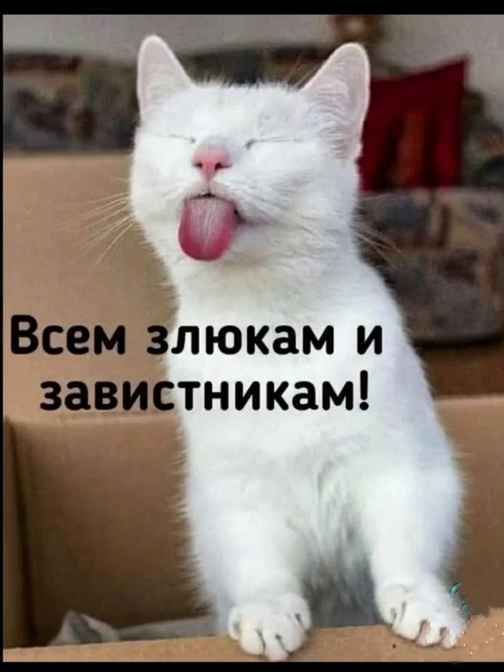 Всем злюкам и завистникам!