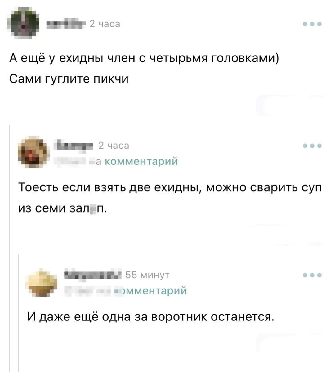 А ещё у ехидны член с четырьмя головками) Сами гуглите пикчи. То есть если взять две ехидны, можно сварить суп из семи залп. И даже ещё одна за воротник останется.