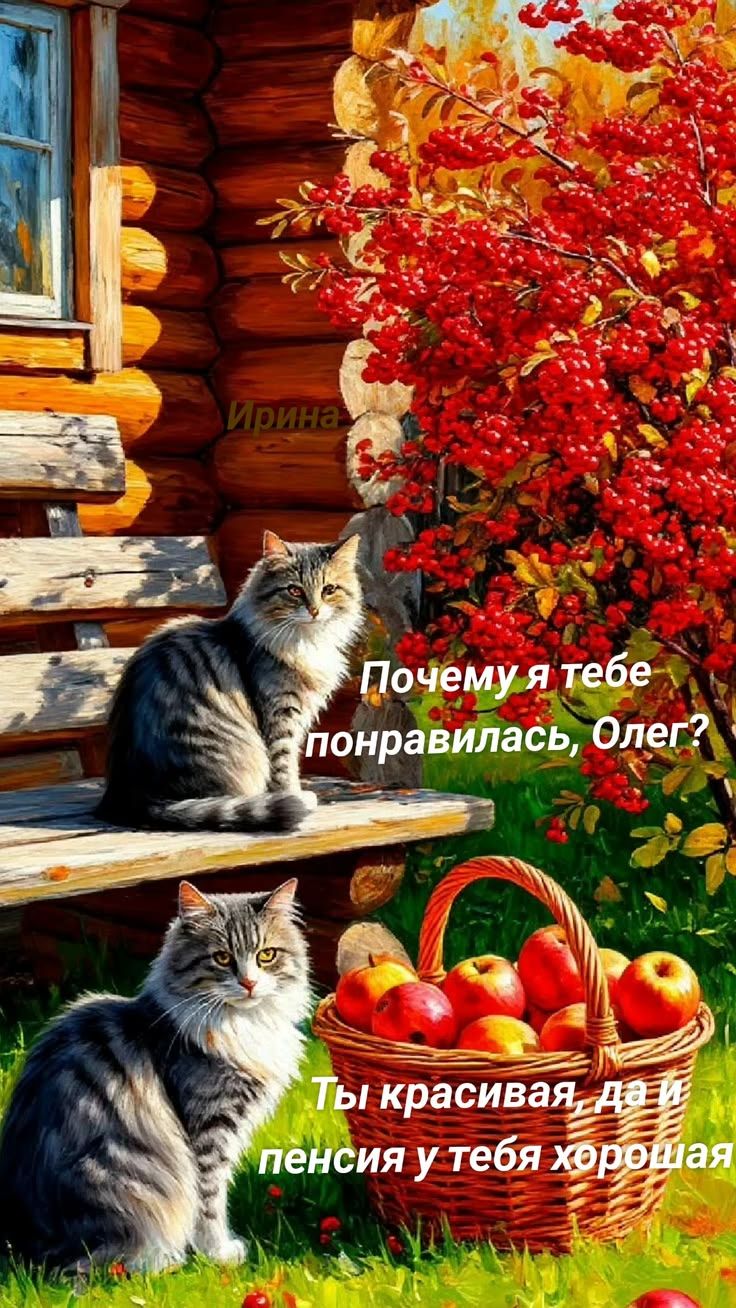 Ирина Почему я тебе понравилась, Олег? Ты красивая, да и пенсия у тебя хорошая