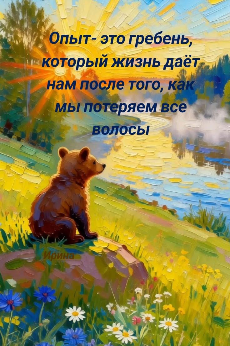 Опыт - это гребень, который жизнь даёт нам после того, как мы потеряем все волосы