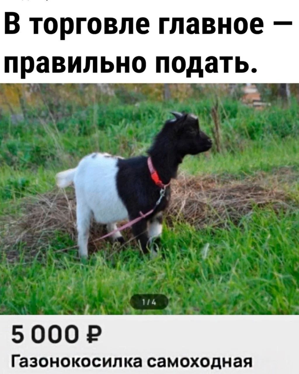 В торговле главное — правильно подать. 5 000 Р Газонокосилка самоходная