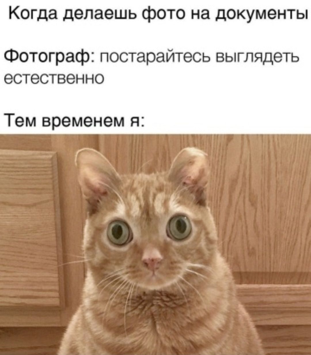 Когда делаешь фото на документы. Фотограф: постарайтесь выглядеть естественно. Тем временем я: