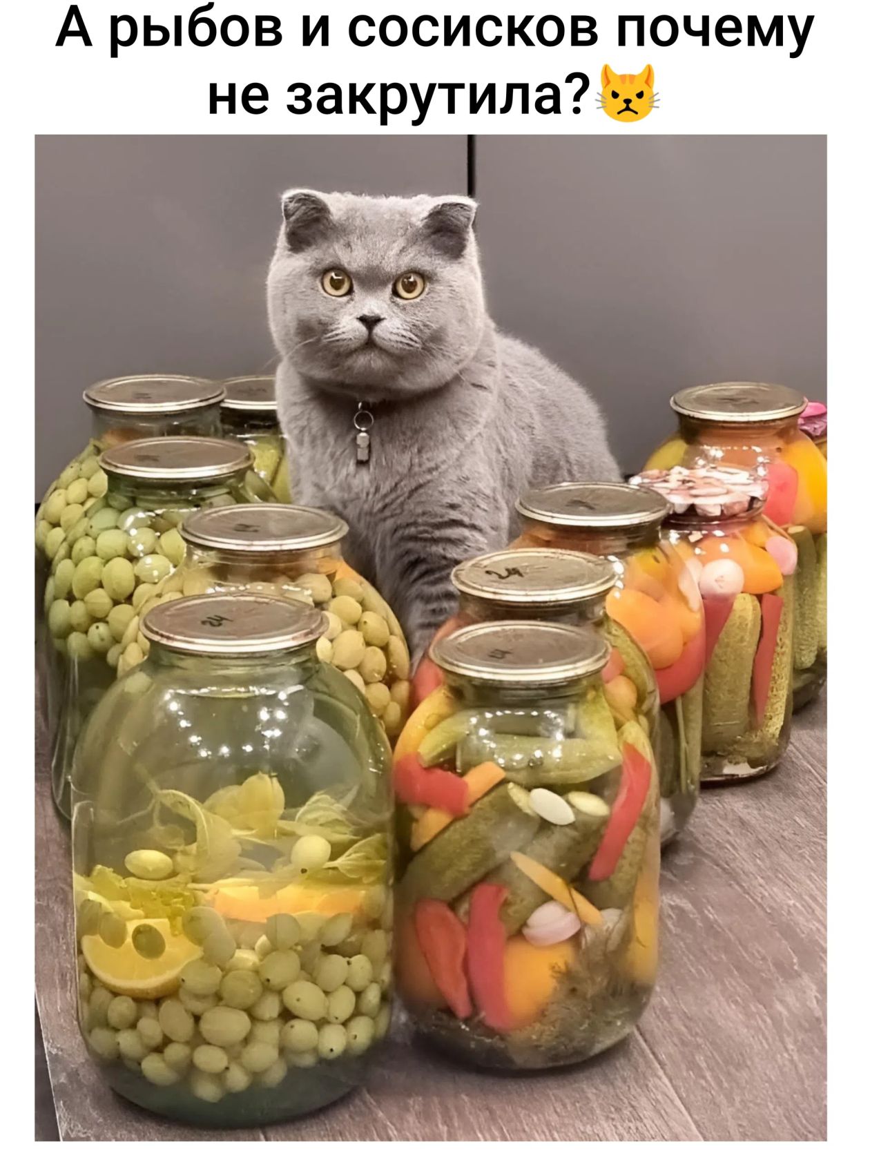 А рыбов и сосисков почему не закрутила? 😼