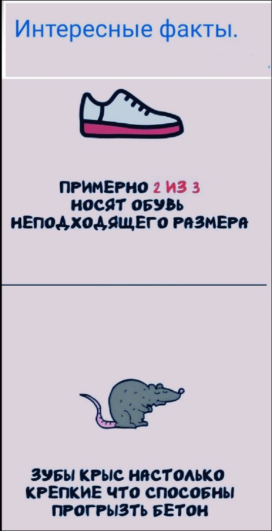 Интересные факты. ПРИМЕРНО 2 ИЗ 3 НОСЯТ ОБУВЬ НЕПОДХОДЯЩЕГО РАЗМЕРА ЗУБЫ КРЫС НАСТОЛЬКО КРЕПКИЕ ЧТО СПОСОБНЫ ПРОГРЫЗТЬ БЕТОН