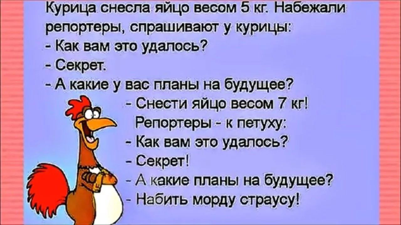 Курица снесла яйцо весом 5 кг. Набежали репортеры, спрашивают у курицы: - Как вам это удалось? - Секрет. - А какие у вас планы на будущее? - Снести яйцо весом 7 кг! Репортеры - к петуху: - Как вам это удалось? - Секрет! - А какие планы на будущее? - Набить морду страусу!