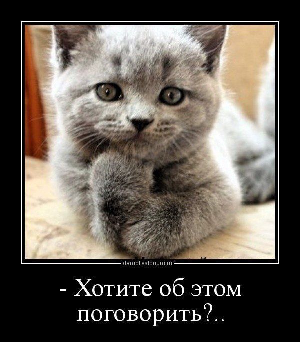 - Хотите об этом поговорить?..