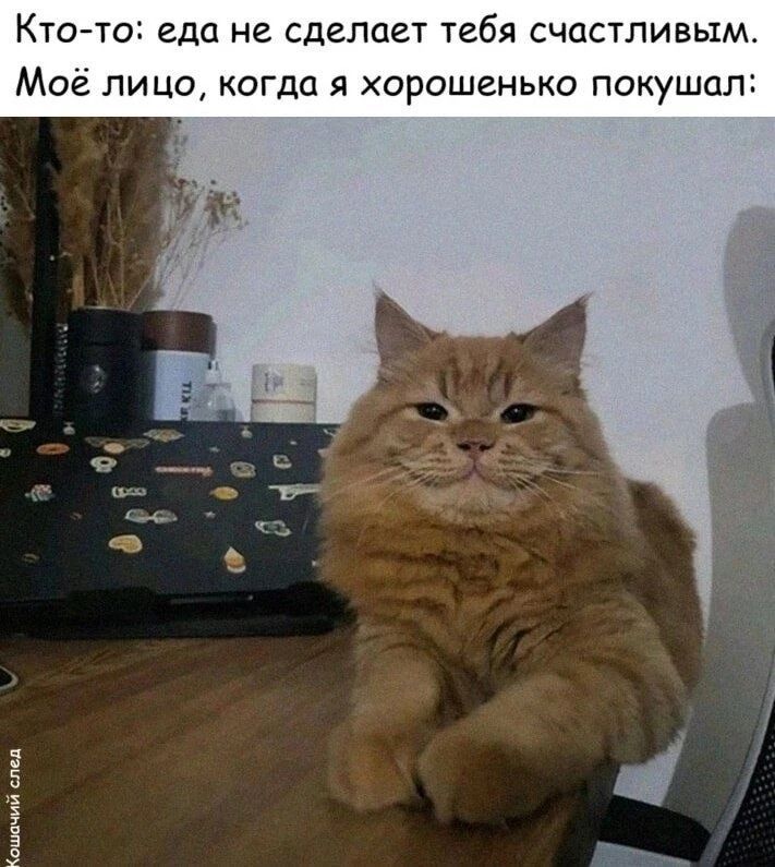 Кто-то: еда не сделает тебя счастливым. Моё лицо, когда я хорошенько покушал: