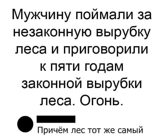 Мужчину поймали за незаконную вырубку леса и приговорили к пяти годам законной вырубки леса. Огонь. Причём лес тот же самый