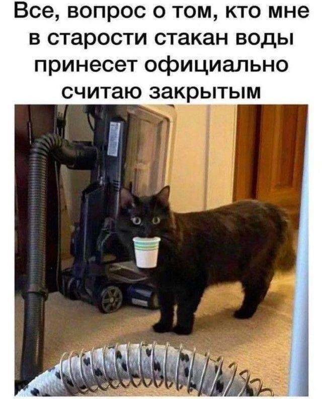 Все, вопрос о том, кто мне в старости стакан воды принесет официально считаю закрытым