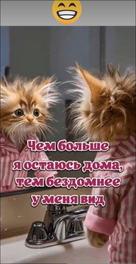 Чем больше я остаюсь дома, тем бездомнее у меня вид