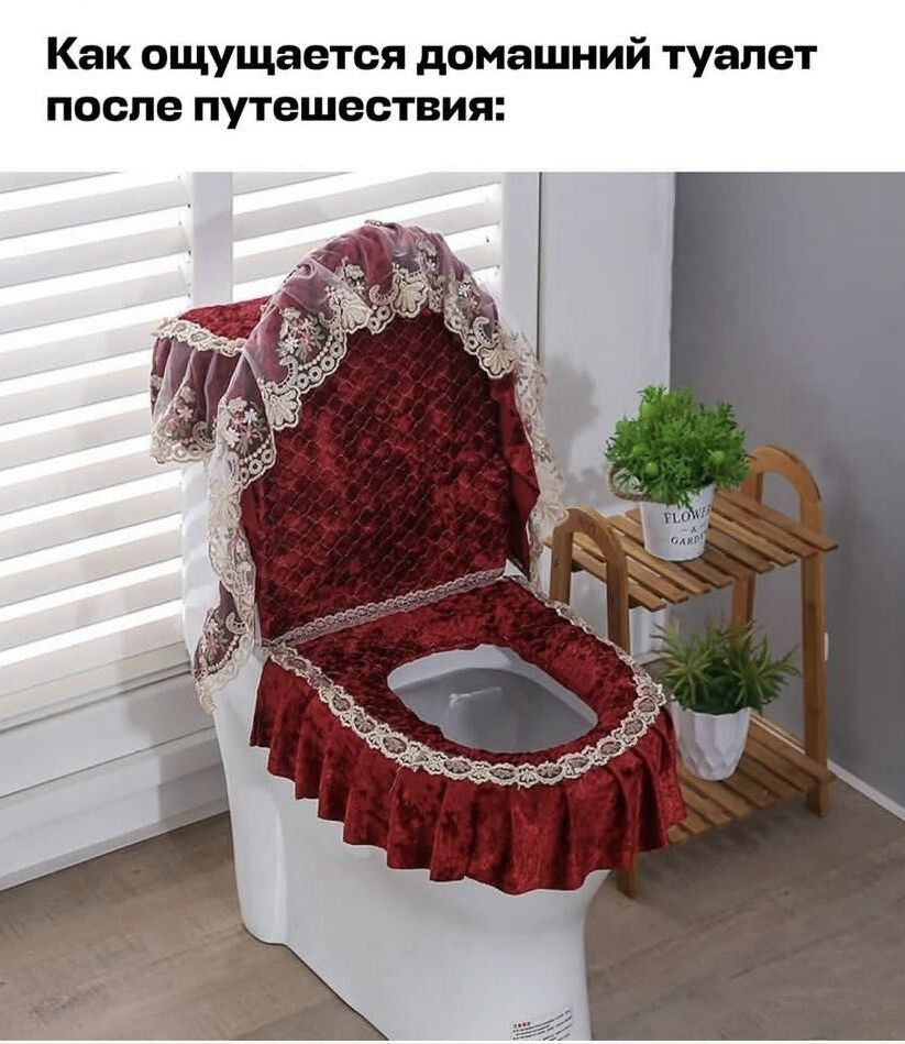 Как ощущается домашний туалет после путешествия: