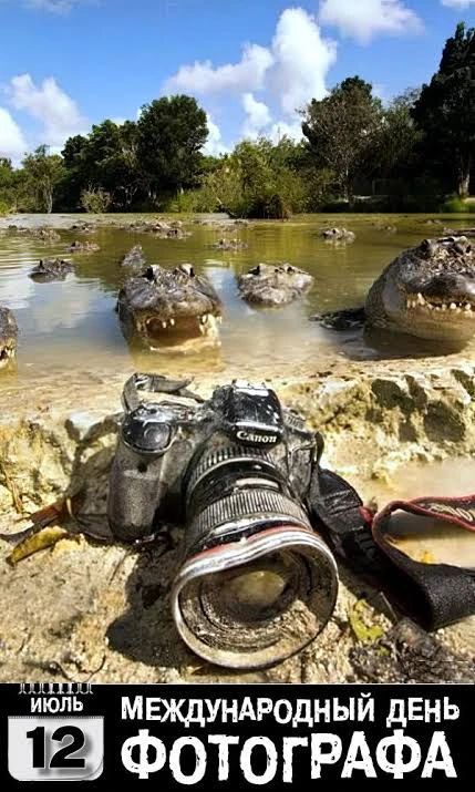 ИЮЛЬ 12 МЕЖДУНАРОДНЫЙ ДЕНЬ ФОТОГРАФА. Камера Canon лежит на земле у воды, вокруг множество аллигаторов, некоторые с открытыми пастями.