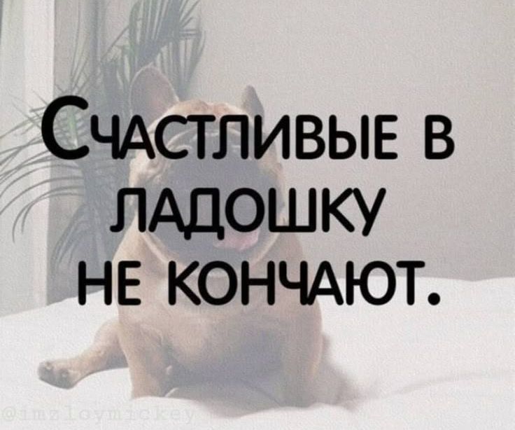 СЧАСТЛИВЫЕ В ЛАДОШКУ НЕ КОНЧАЮТ.