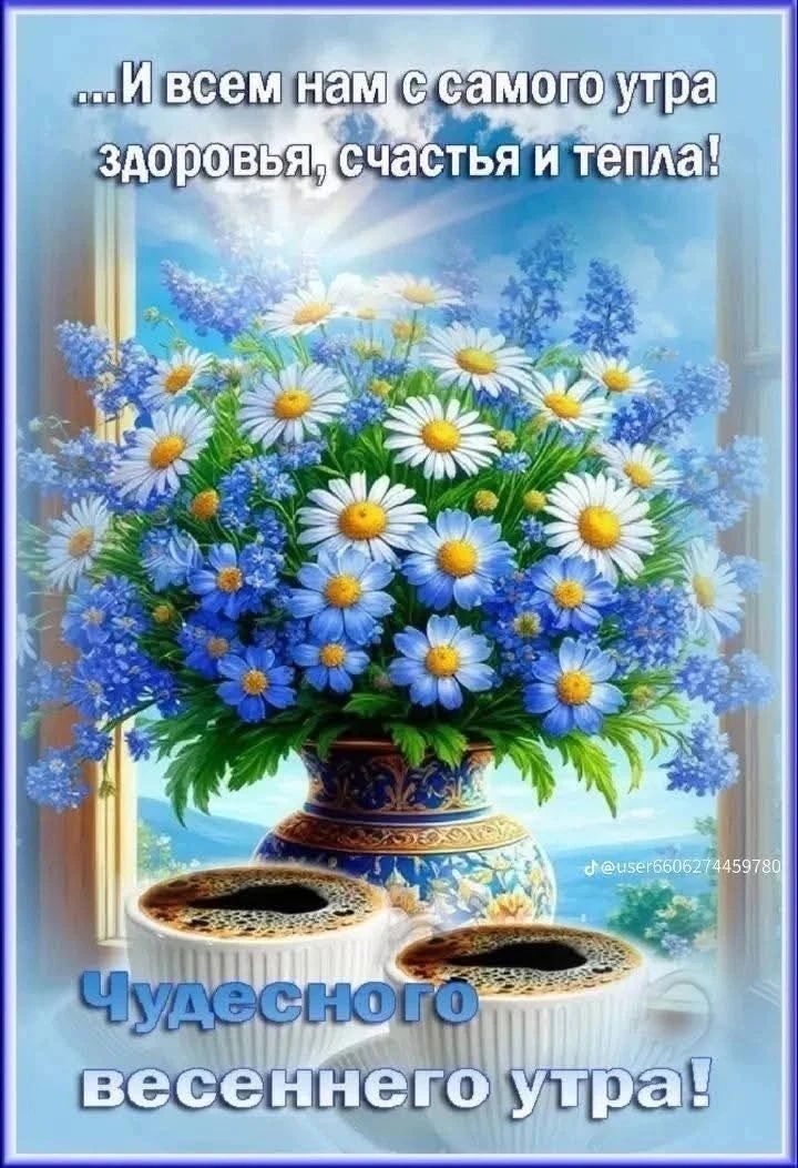 ...И всем нам с самого утра здоровья, счастья и тепла! Чудесного весеннего утра!