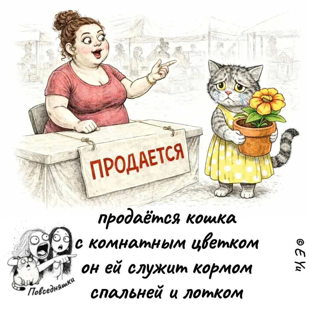 ПРОДАЕТСЯ продаётся кошка с комнатным цветком он ей служит кормом спальней и лотком Повседневняшки © Е.Уа