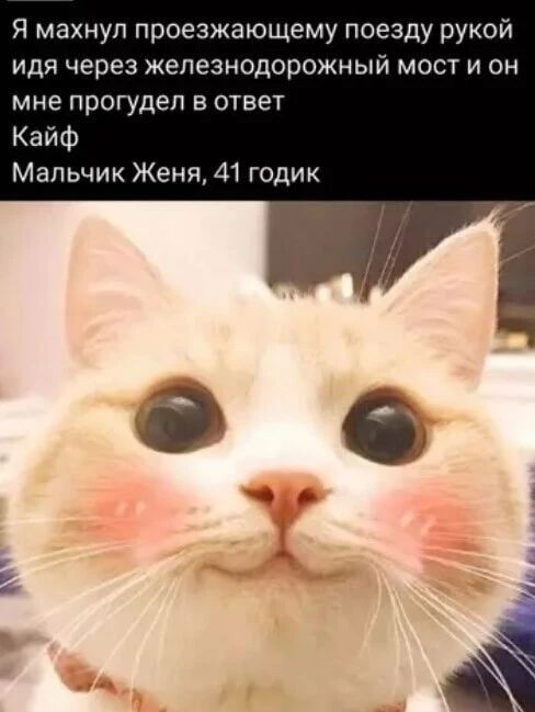 Я махнул проезжающему поезду рукой идя через железнодорожный мост и он мне прогудел в ответ Кайф Мальчик Женя, 41 годик