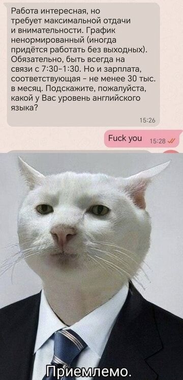Работа интересная, но требует максимальной отдачи и внимательности. График ненормированный (иногда придётся работать без выходных). Обязательно, быть всегда на связи с 7:30-1:30. Но и зарплата, соответствующая - не менее 30 тыс. в месяц. Подскажите, пожалуйста, какой у Вас уровень английского языка? Fuck you. Приемлемо.