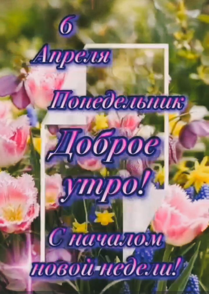 6 Апреля Понедельник Доброе утро! С началом новой недели!