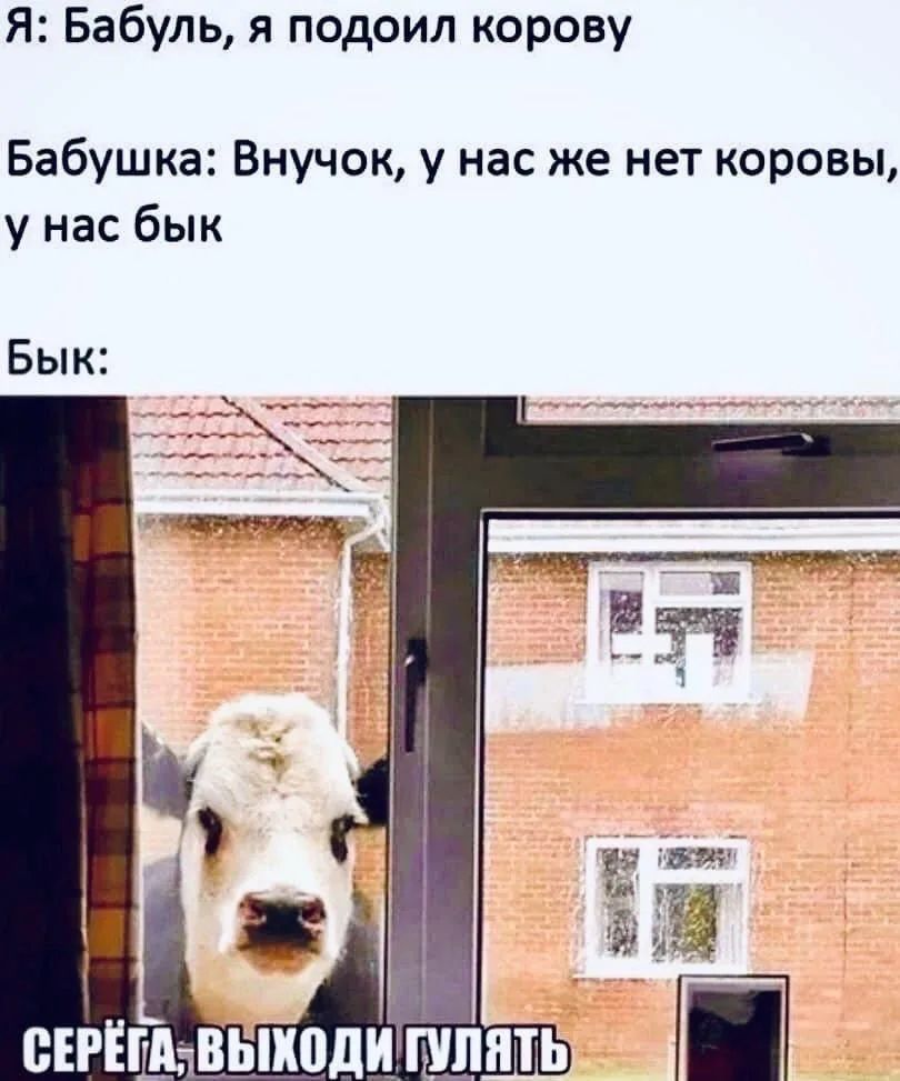 Я: Бабуль, я подоил корову
Бабушка: Внучок, у нас же нет коровы, у нас бык
Бык:
СЕРЁГА, ВЫХОДИ ГУЛЯТЬ