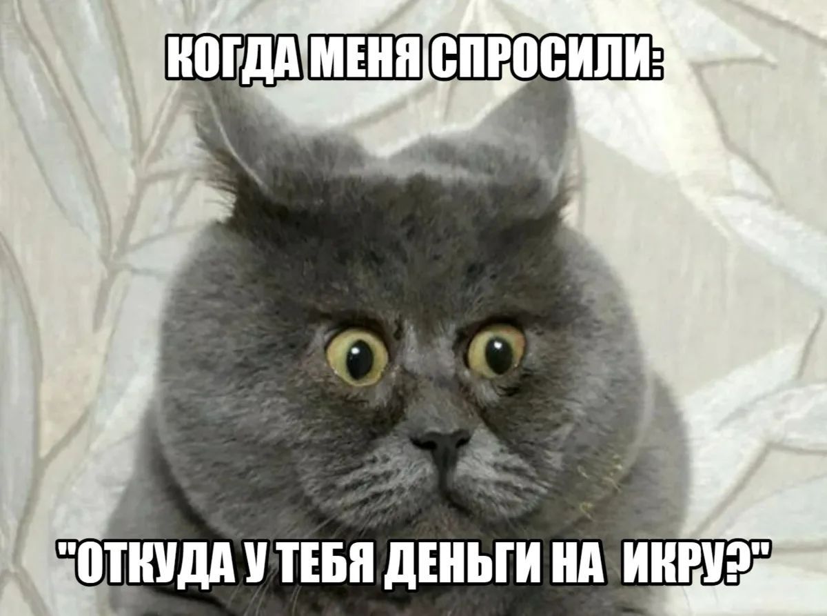 КОГДА МЕНЯ СПРОСИЛИ: 