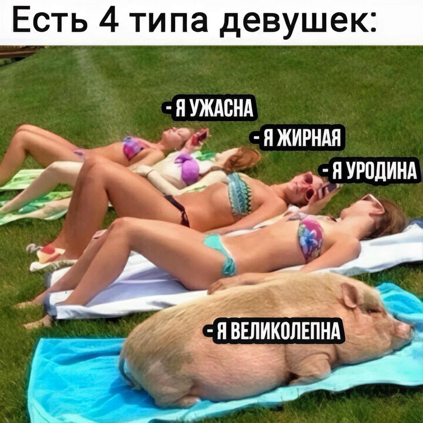 Есть 4 типа девушек: - Я ужасна - Я жирная - Я уродина - Я великолепна