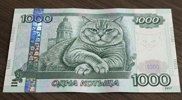 1000 ОДНА КОТЫЩА 1997