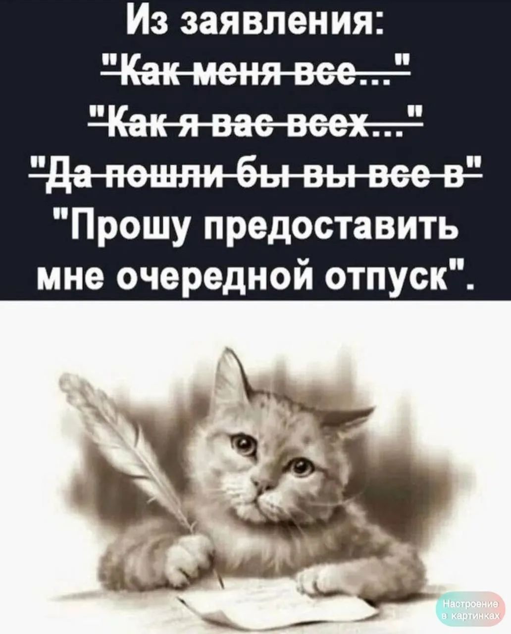 Из заявления: 