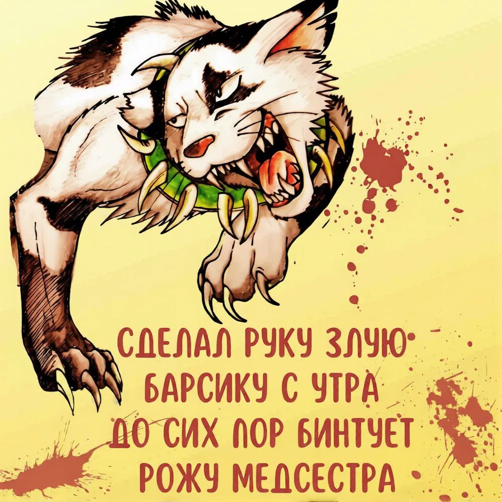 СДЕЛАЛ РУКУ ЗЛУЮ БАРСИКУ С УТРА ДО СИХ ПОР БИНТУЕТ РОЖУ МЕДСЕСТРА