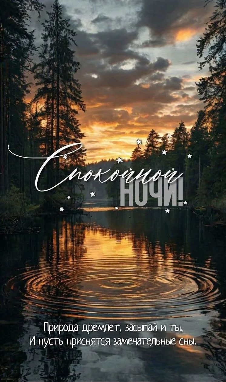 Спокойной ночи! Природа дремлет, засыпай и ты, И пусть приснятся замечательные сны.