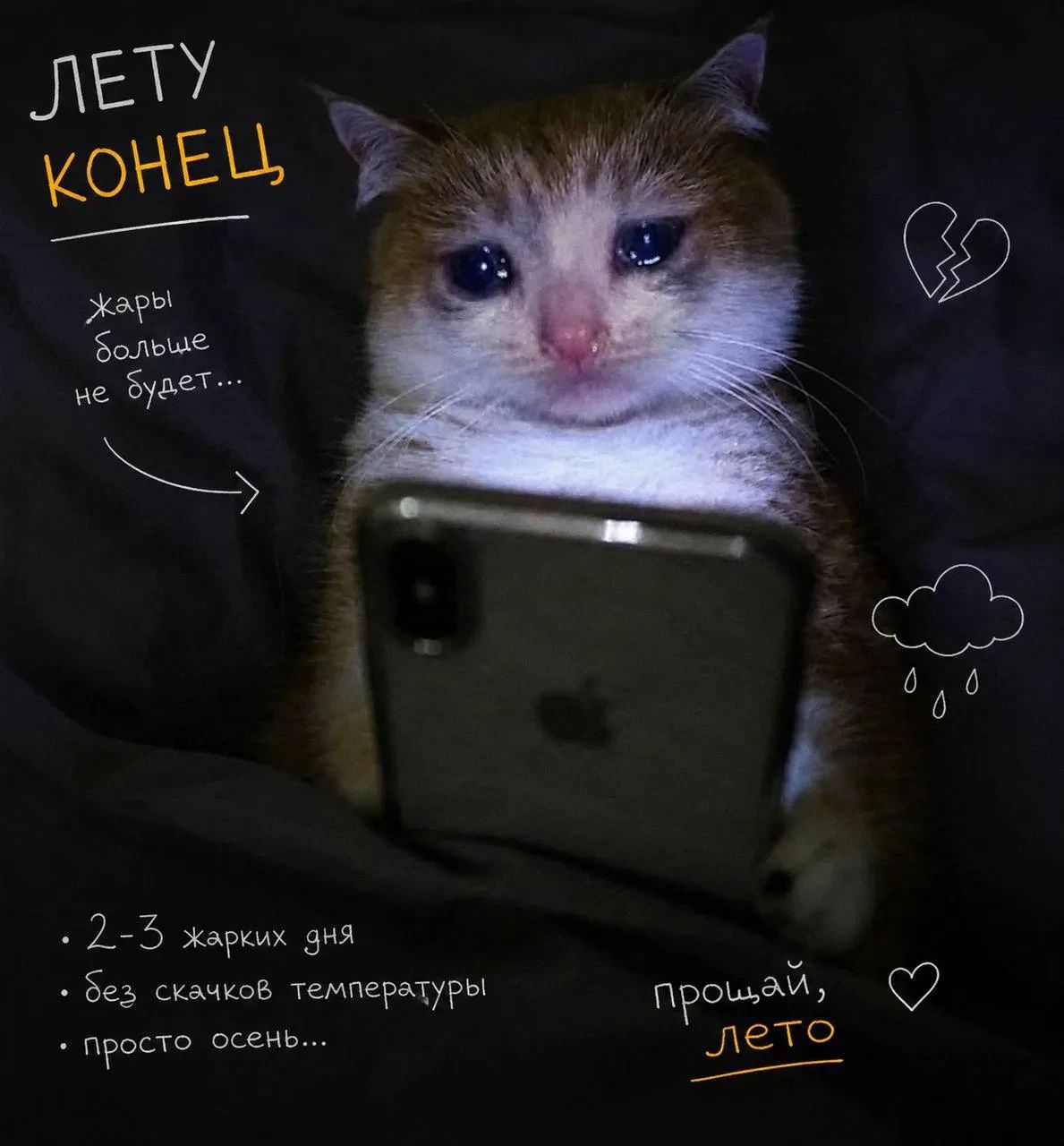 ЛЕТУ КОНЕЦ ЖАРЫ больше не будет... 2-3 жарких дня Без скачков температуры просто осень... прощай, лето