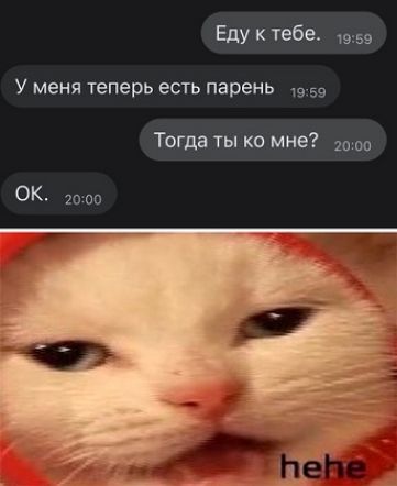 Еду к тебе. У меня теперь есть парень. Тогда ты ко мне? ОК. hehe