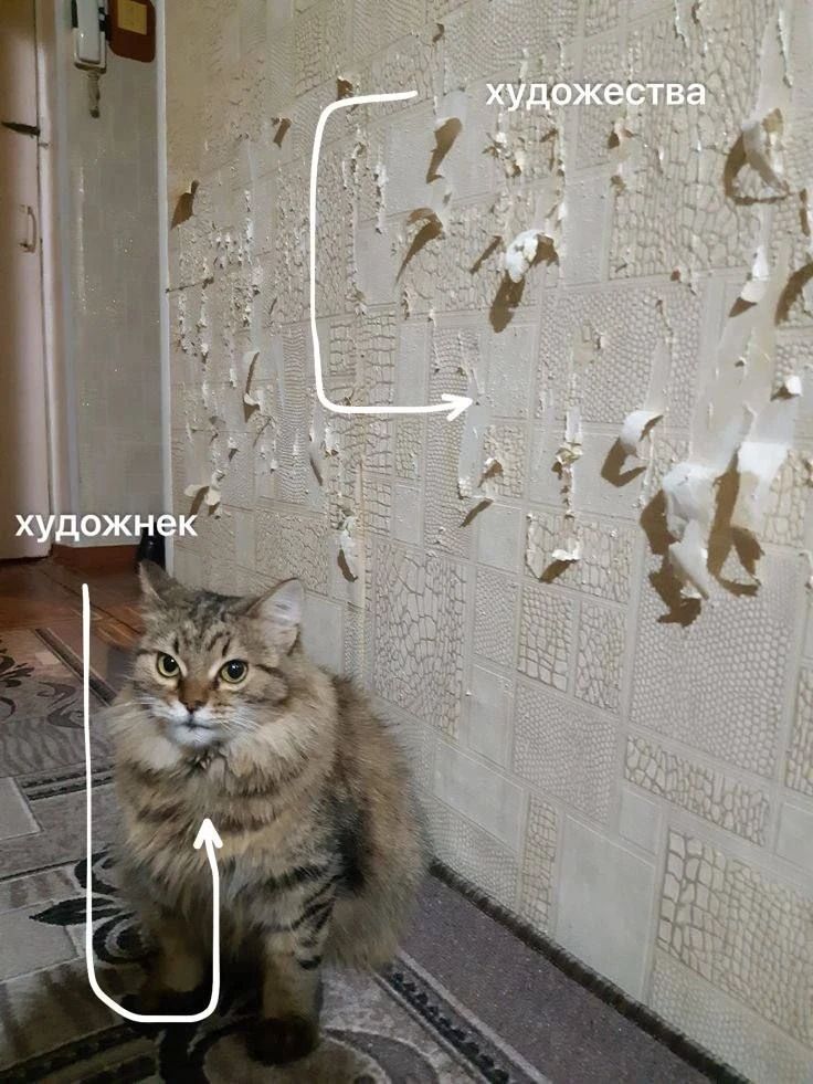 художник художества