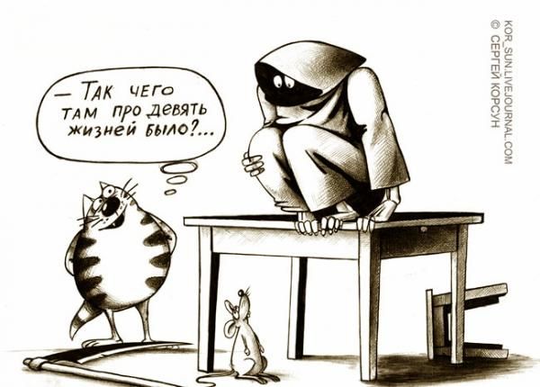 — Так чего там про девять жизней было?...