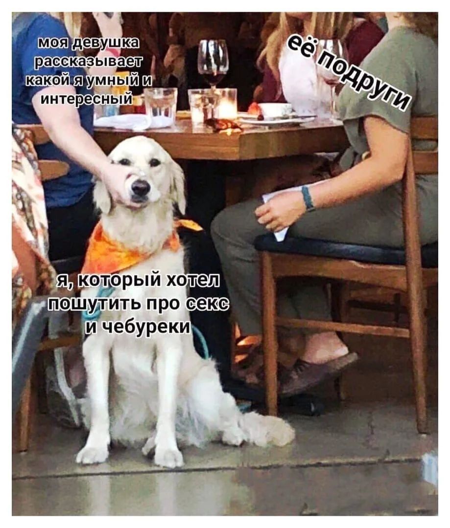 моя девушка рассказывает какой я умный и интересный, её подруги, я, который хотел пошутить про секс и чебуреки