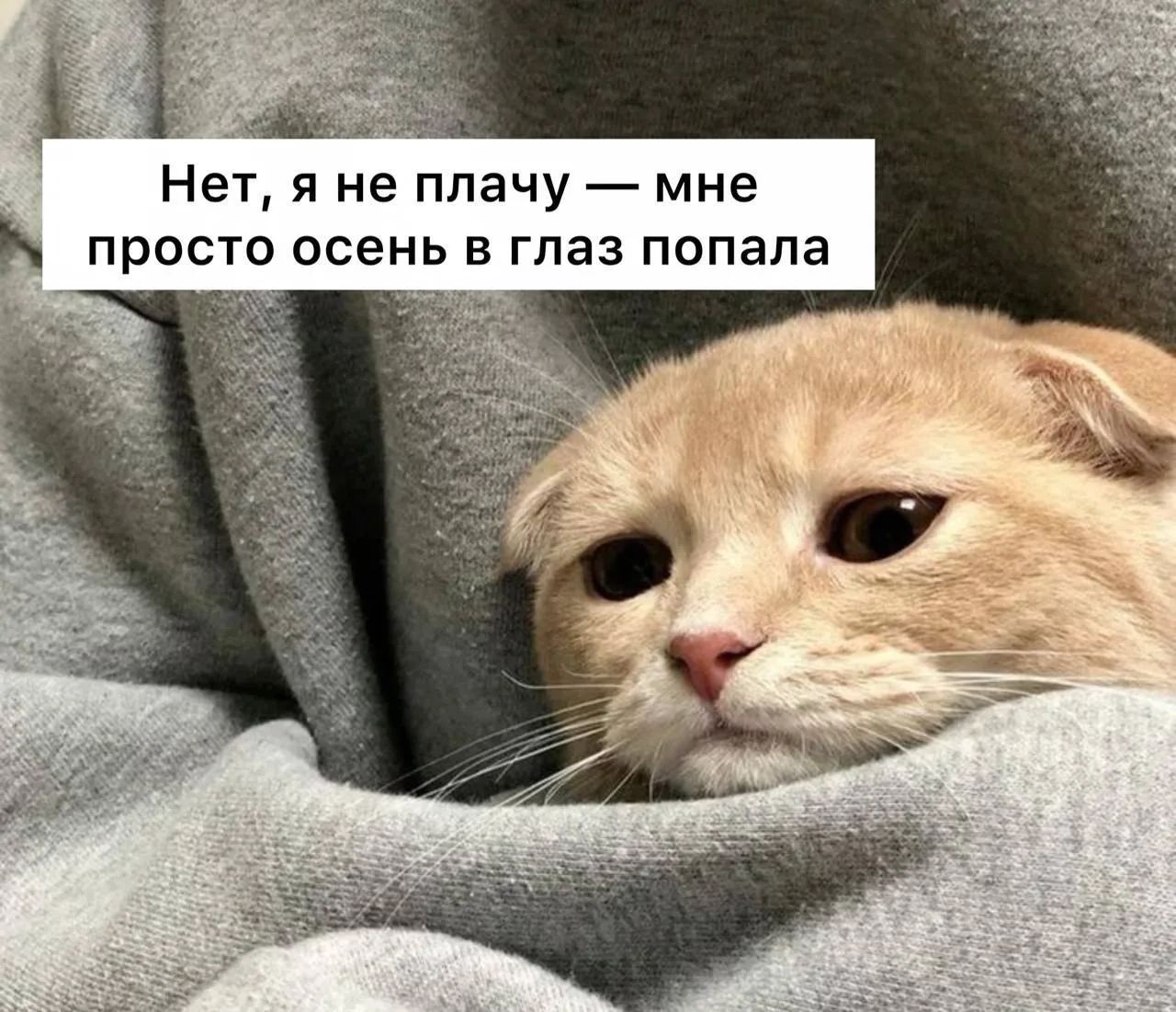 Нет, я не плачу — мне просто осень в глаз попала
