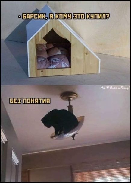 БАРСИК, Я КОМУ ЭТО КУПИЛ? БЕЗ ПОНЯТИЯ