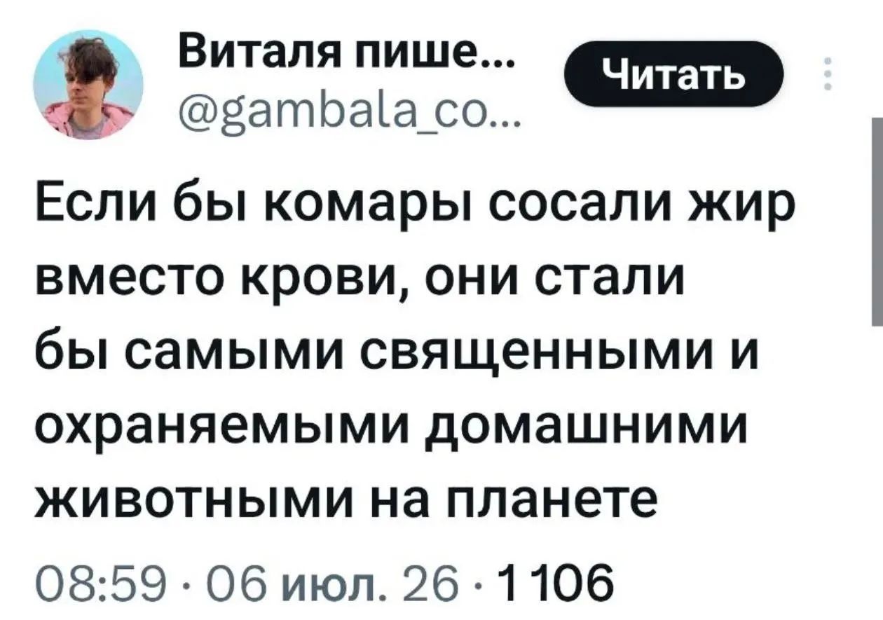 Виталя пишет... @gambala_co... Читать Если бы комары сосали жир вместо крови, они стали бы самыми священными и охраняемыми домашними животными на планете 08:59 · 06 июл. 26 · 1 106
