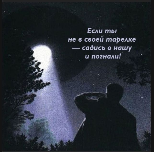 Если ты не в своей тарелке — садись в нашу и погнали!