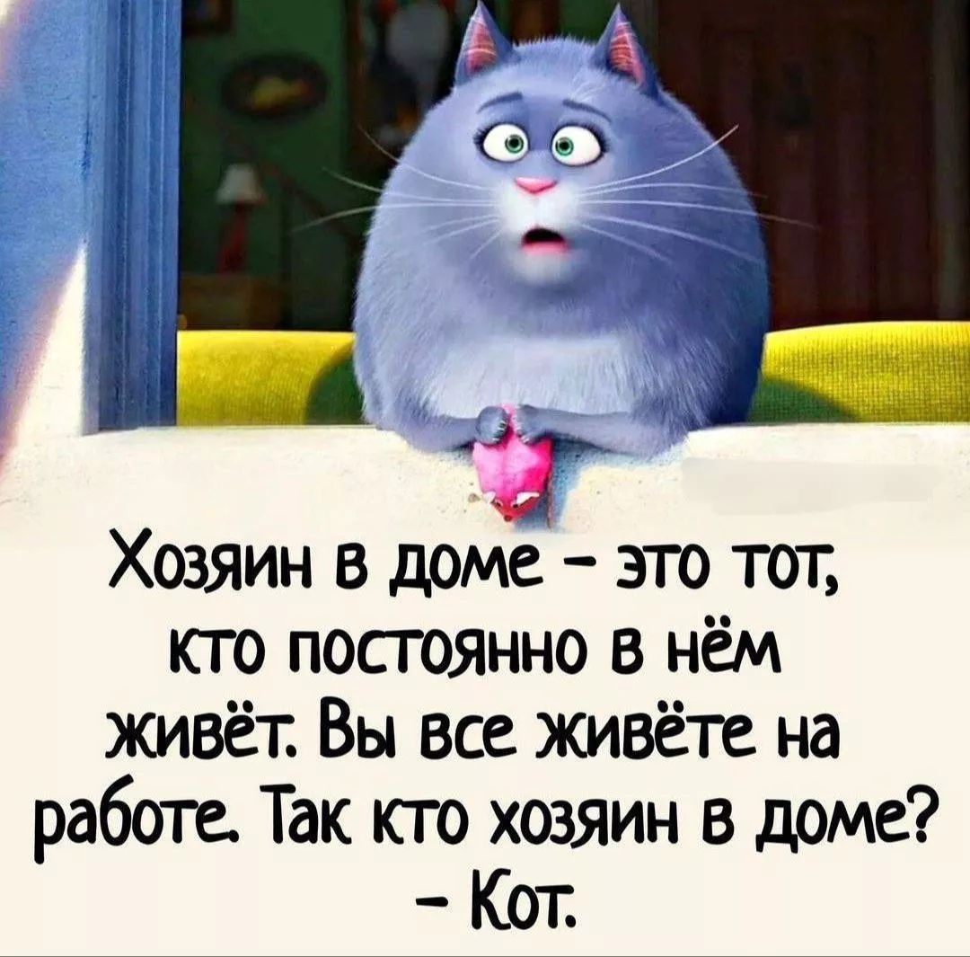 Хозяин в доме – это тот, кто постоянно в нём живёт. Вы все живёте на работе. Так кто хозяин в доме? – Кот.