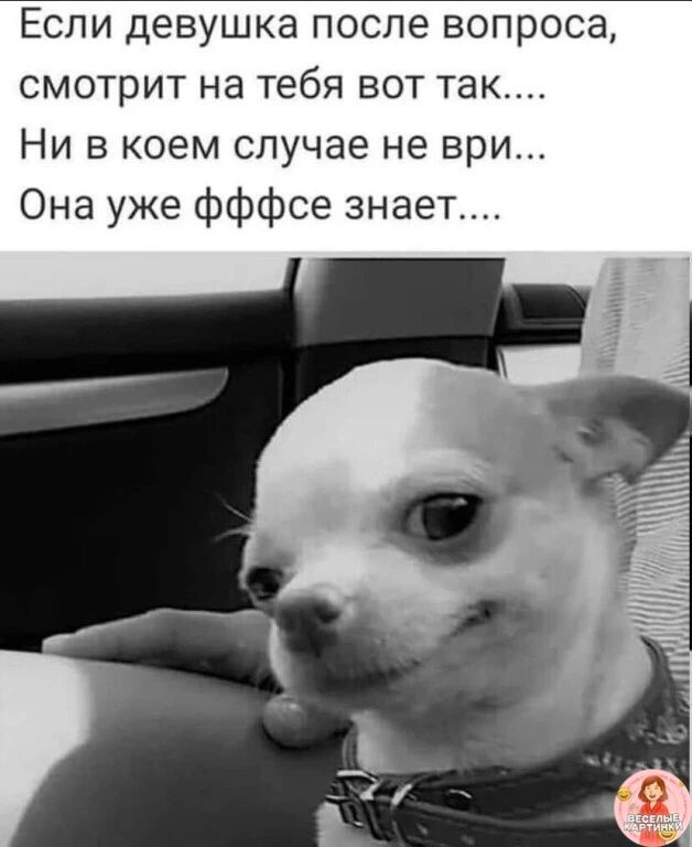Если девушка после вопроса, смотрит на тебя вот так.... Ни в коем случае не ври... Она уже фффсе знает....