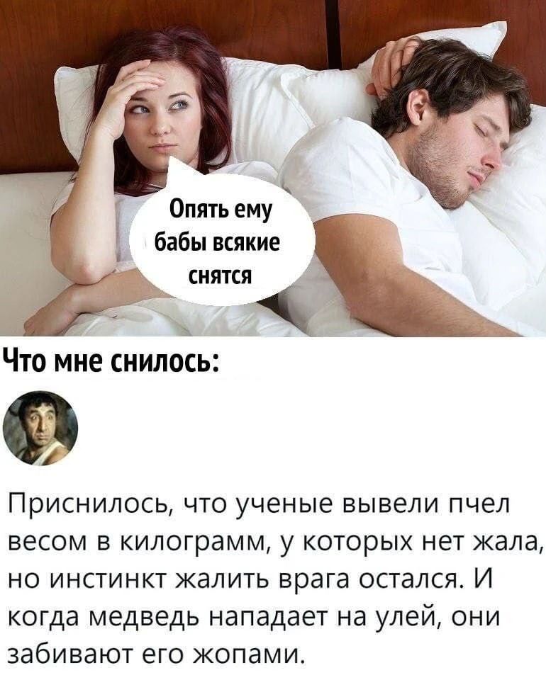 Опять ему бабы всякие снятся Что мне снилось: Приснилось, что ученые вывели пчел весом в килограмм, у которых нет жала, но инстинкт жалить врага остался. И когда медведь нападает на улей, они забивают его жопами.